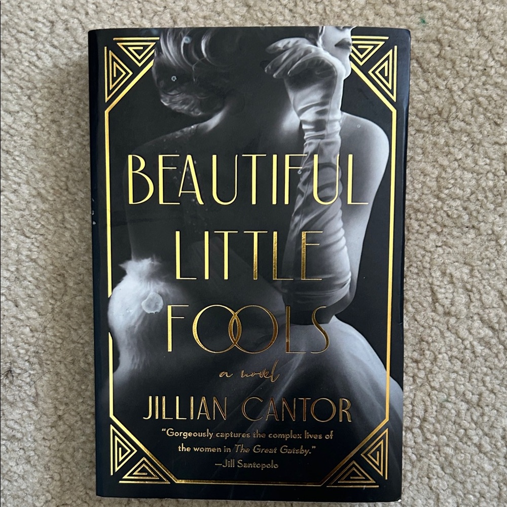 Beautiful Little Fools Book